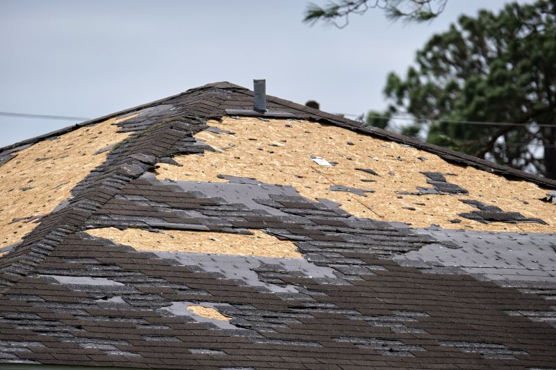 Shingle Damage Repair